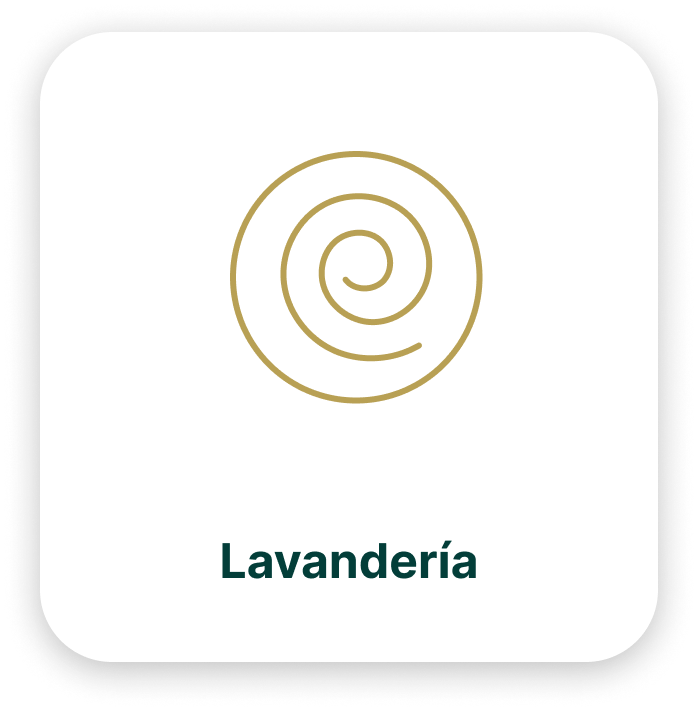 home-lavanderia