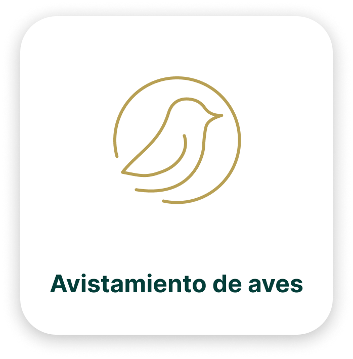 home-avistamiento-de-aves