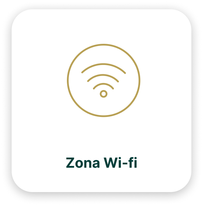 home-zona-wi-fi